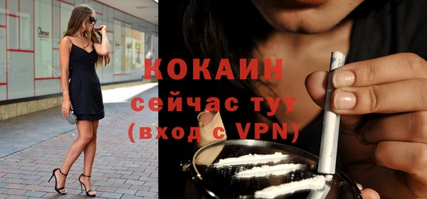 дурь Новодвинск