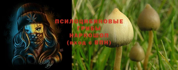 марихуана Новокубанск
