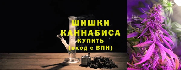 прущие крисы Новозыбков