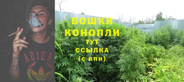 марихуана Новокубанск
