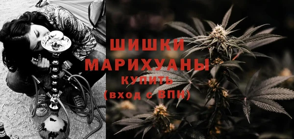 дурь Новодвинск
