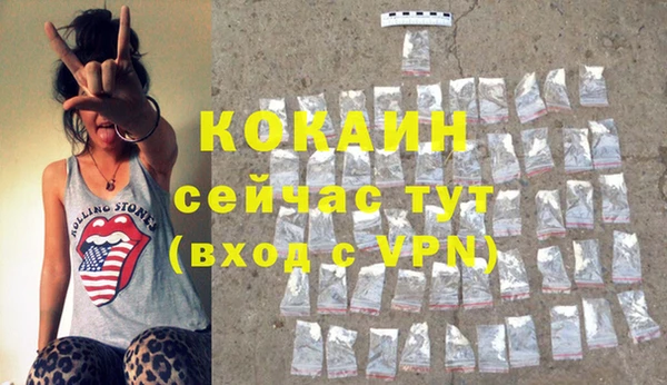 дурь Новодвинск