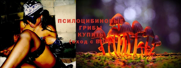дурь Новодвинск