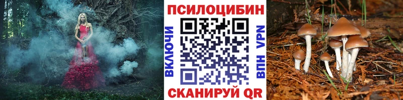 Псилоцибиновые грибы мицелий  Калач 